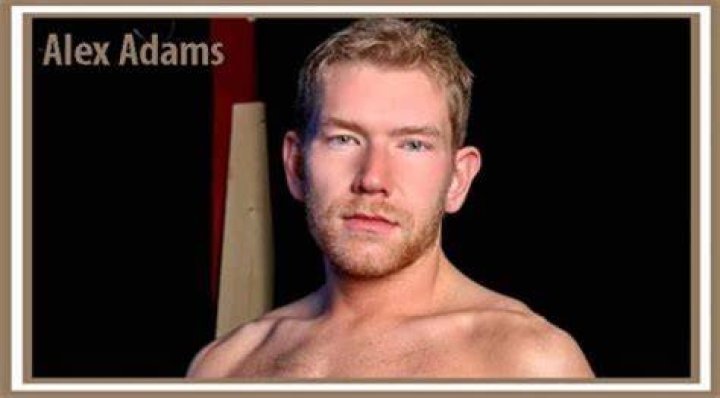 Alex Adams Bio, Wiki, Age, Height, Dating, Blogger and Net Worth