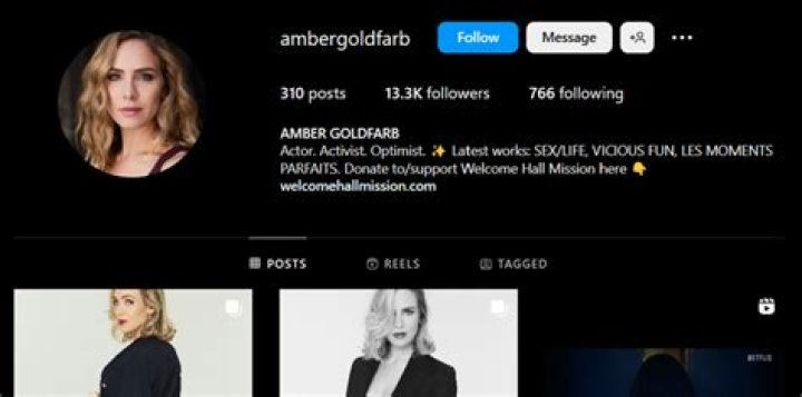 Amber Goldfarb Age, Wiki, Biography, Height, Husband, Family, Instagram