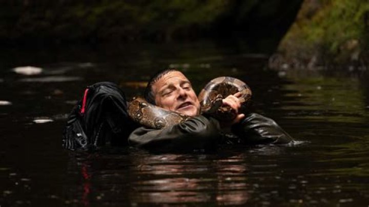Bear Grylls Death News Gone Viral: Is He Dead or Alive? Real Name