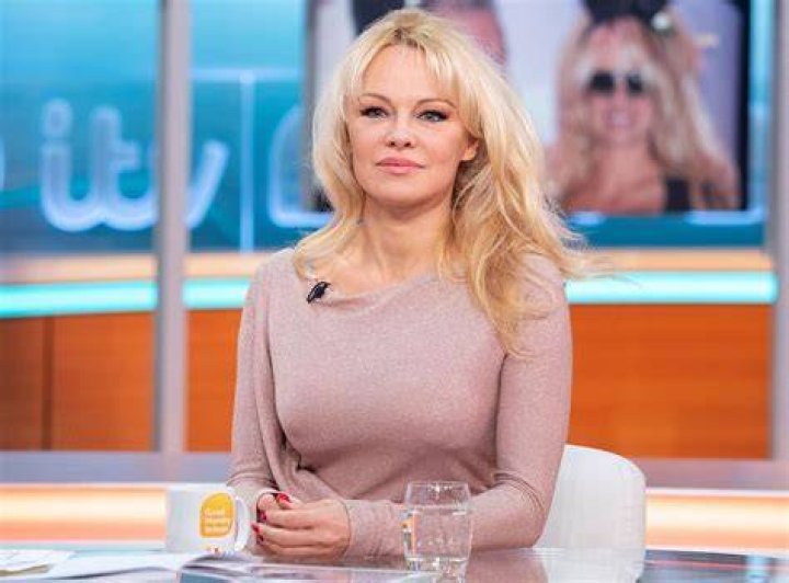 Blair Anderson’s biography, net worth, fact, career, awards and life story