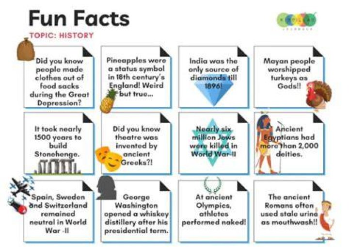 Brabo Gator Net Worth: 10 Facts To Know