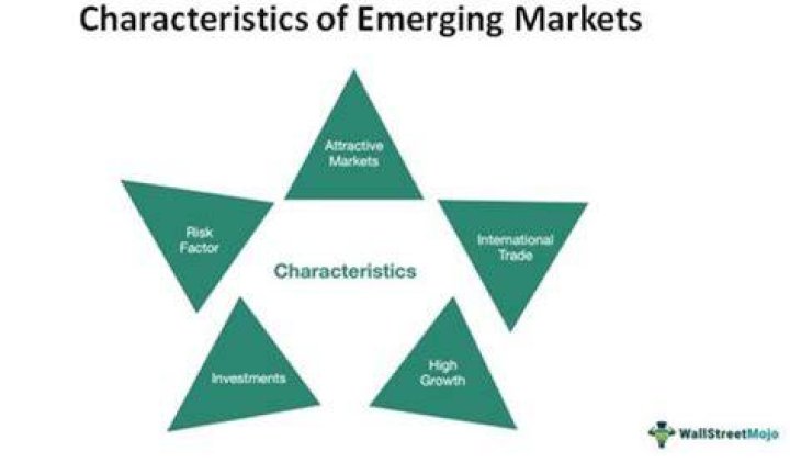 Characteristics of emerging markets