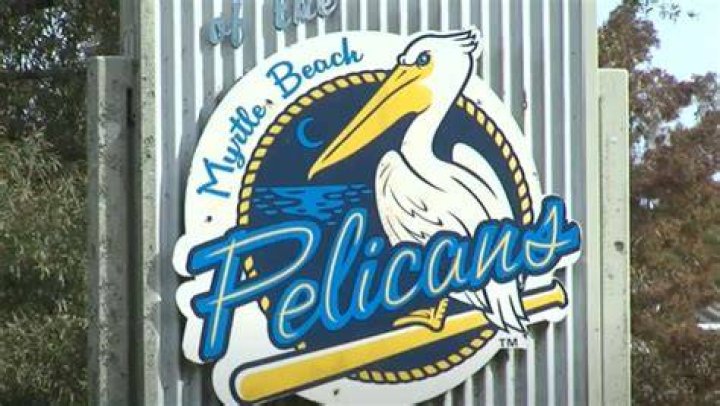 David Bote Bio, Wiki, Age, Family, Wife, MLB Draft, Myrtle Beach Pelicans and Net Worth