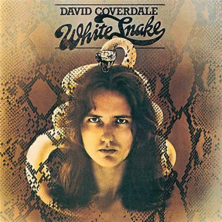 David Coverdale Net Worth, Income, Salary, Earnings, Biography