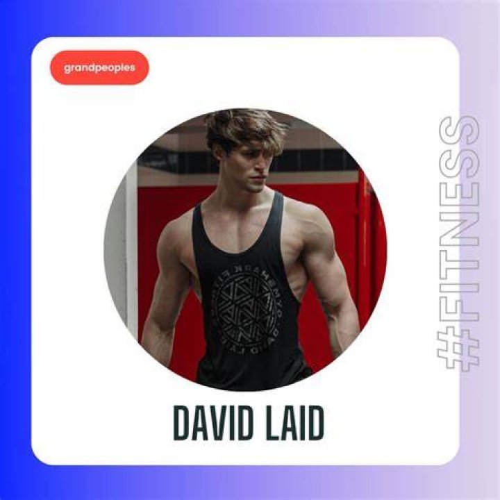 David Laid Birthday, Age, Girlfriend, Net Worth | How old is David Laid? Where is he Now?