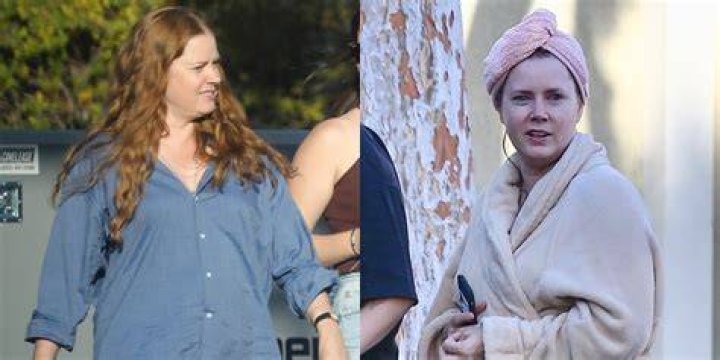 Did Amy Adams Gain Weight Or Is The Actress Pregnant?