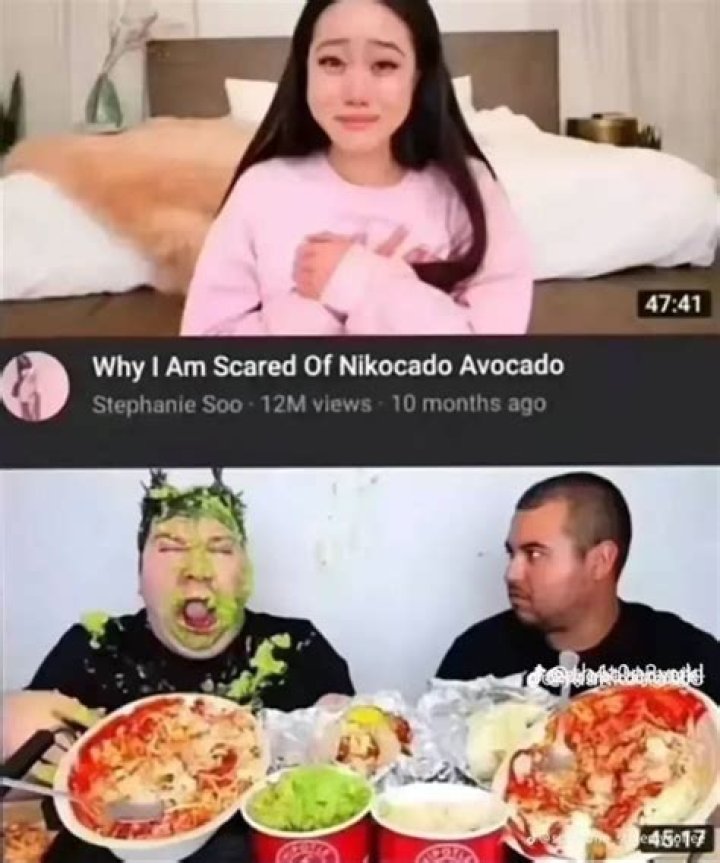 Did Nikocado Avocado Says N Word? What Happened To Him, Is He Disabled?