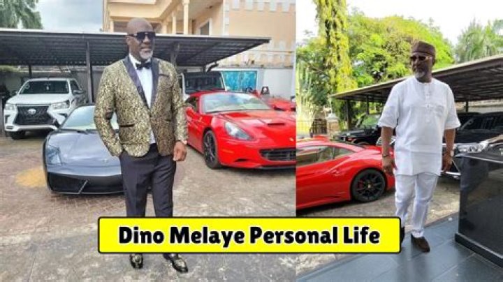 Dino Melaye Biography; Net Worth, Cars, Private Jet And House