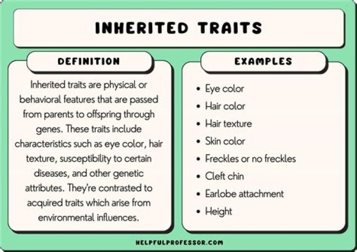 Examples of traits influenced by the environment