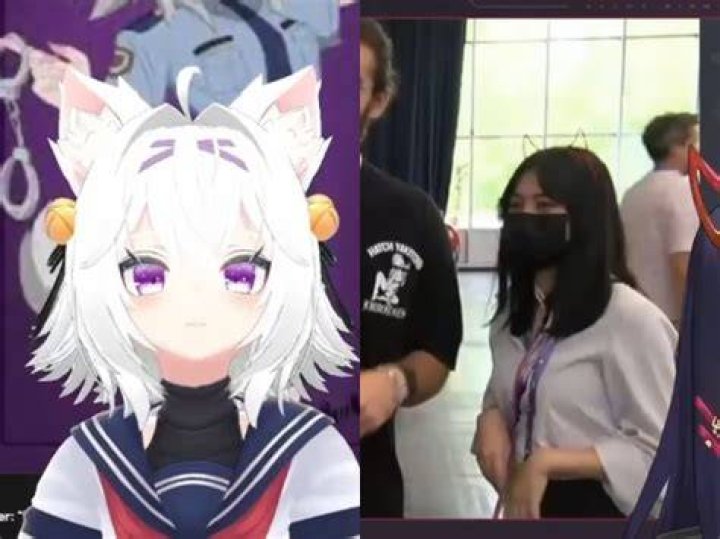 Fansly: Has Saruei Done Face Reveal? VTuber Real Name Age And Photo