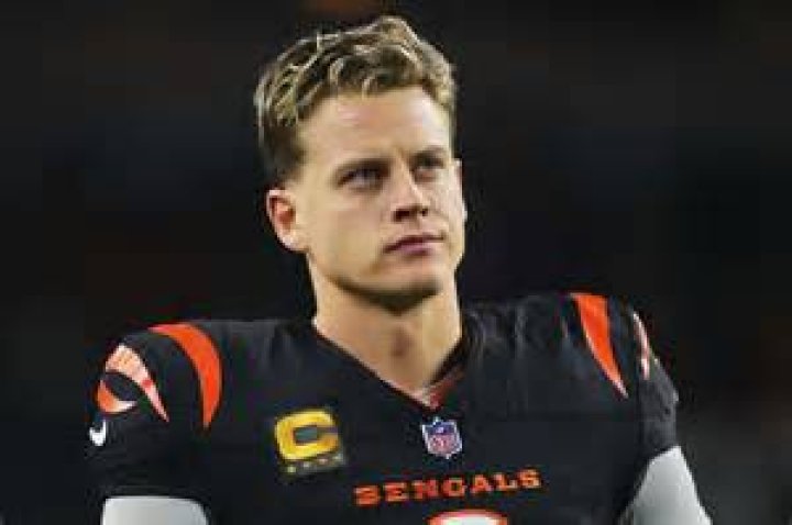 Harrison Burrows’s biography, net worth, fact, career, awards and life story