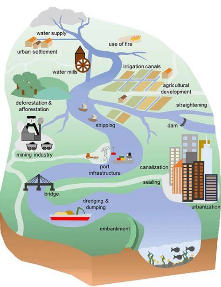How levees urbanization and other modifications to river systems can worsen flooding