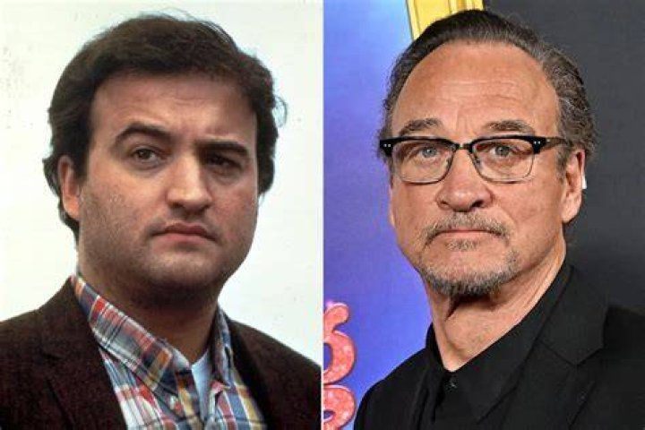 How many Belushi brothers are there? Does Belushi have a twin brother? Are Jim Belushi and Dan Aykroyd friends?