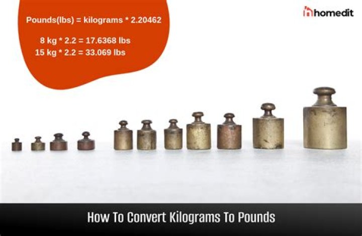 How many pounds is 3 kg