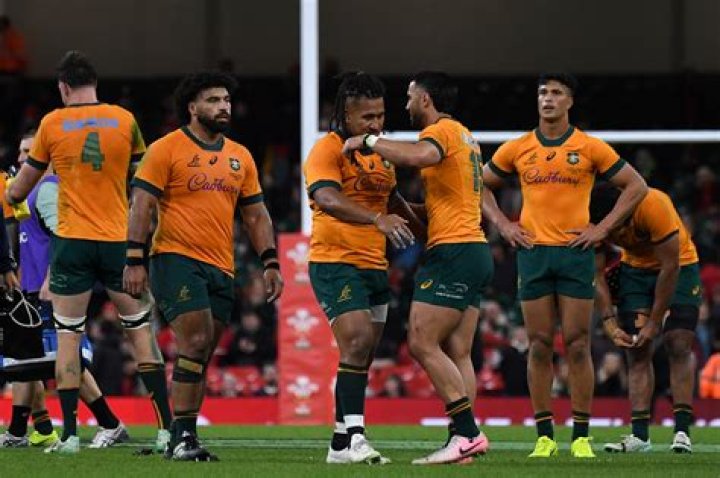 How Much Is The Salary Of The Australian Rugby Player Nick Meaney? Everything To Know