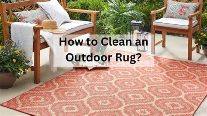 How to clean an indoor outdoor rug