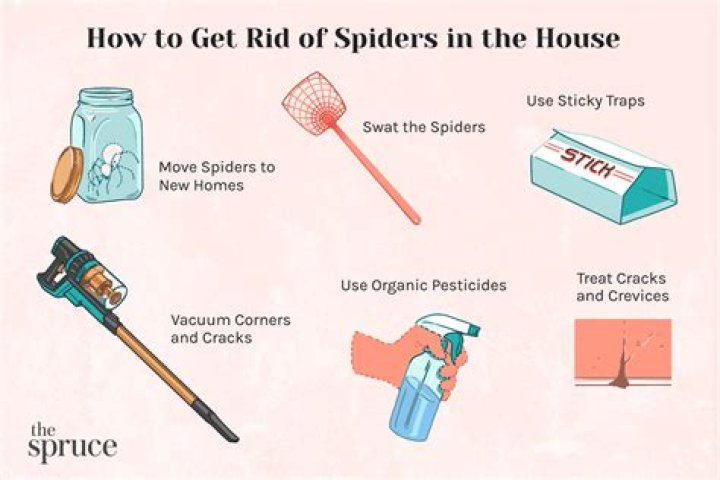 How to get rid of spider webs