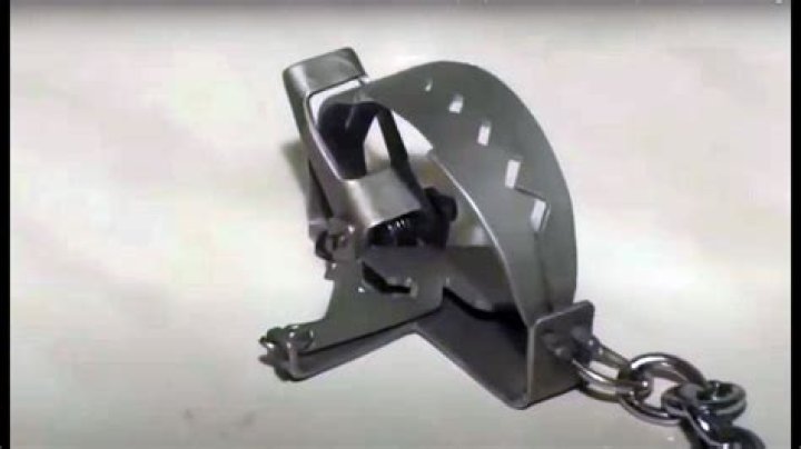 How to open a bear trap