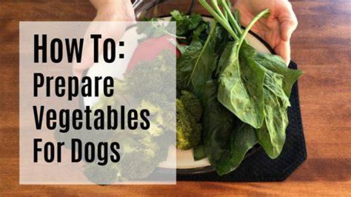 How to prepare vegetables for dogs