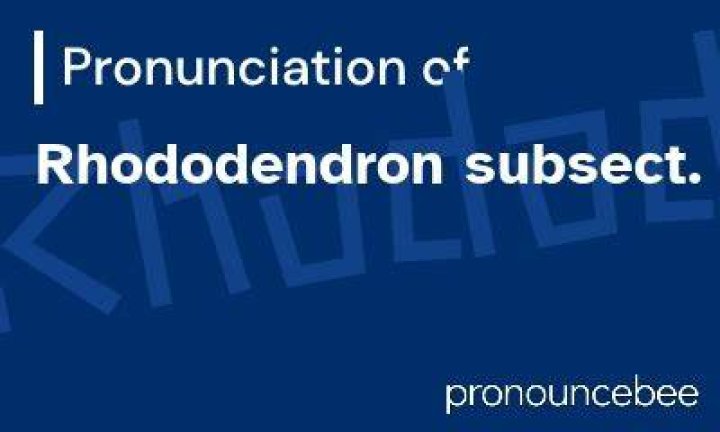 How to pronounce rhododendron
