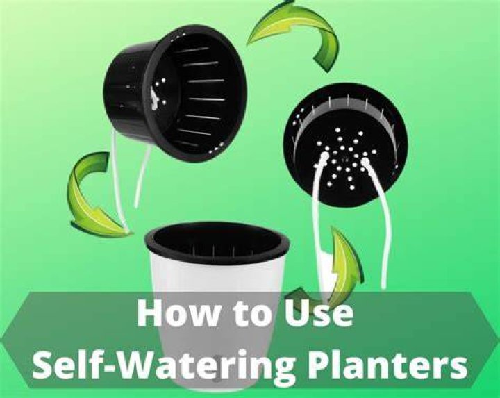 How to use self watering planters