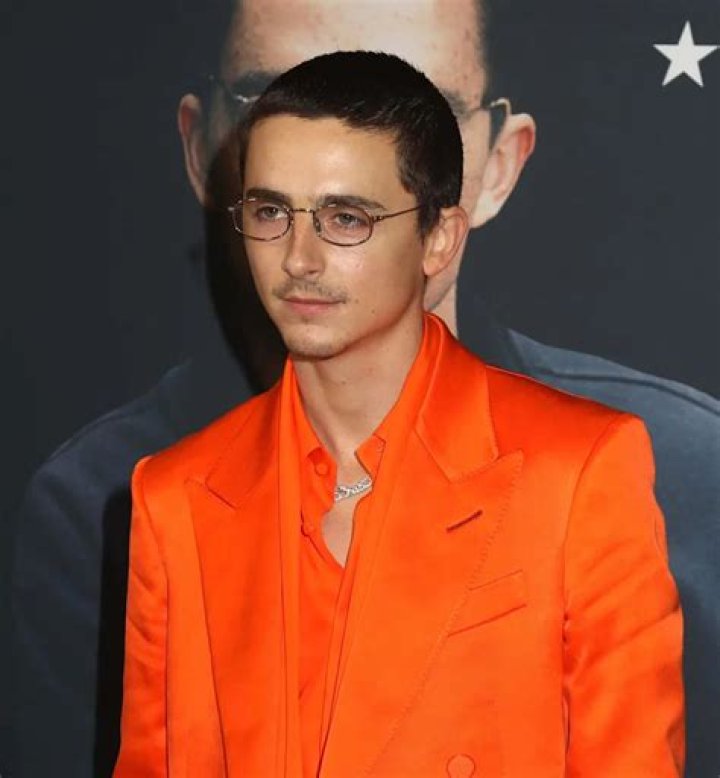 Is Timothee Chalamet Gay In Real? Gender Sexuality And Surgery
