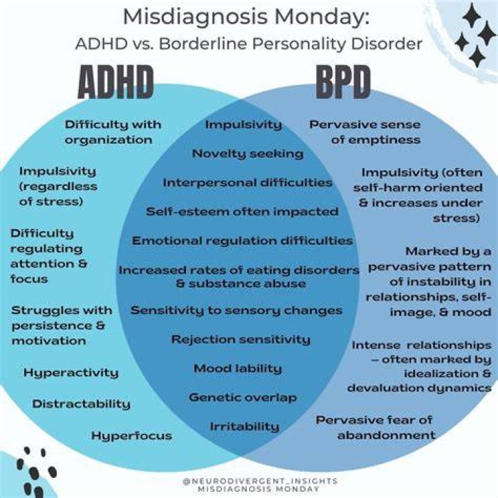 Is Trisha Paytas mentally disabled? What is Trisha Paytas problem? When DID Trisha Paytas get diagnosed with BPD?