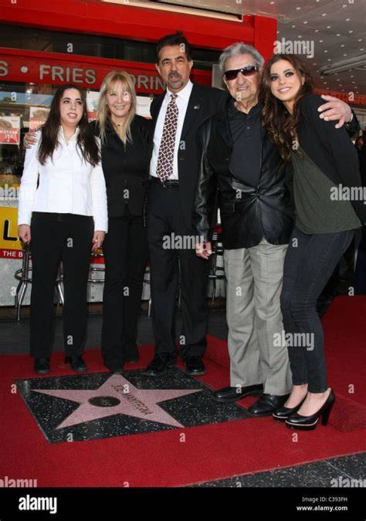 Joe Mantegna Siblings: Who is Ronald Mantegna?