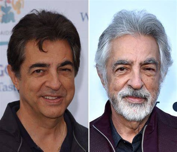 Joe Mantegna Stroke, Movies and TV Shows, Young, Ethnicity, Weight Loss