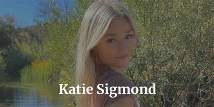 Katie Karalis Utah, Bio, Wiki, Age, Husband, Salary, KTXV, and Net Worth