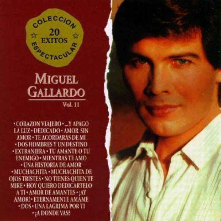 Miguel Gallardo (singer)’s biography, net worth, fact, career, awards and life story