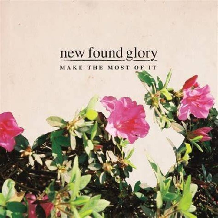 New Found Glory’s
Hit Or Miss Lyrics
