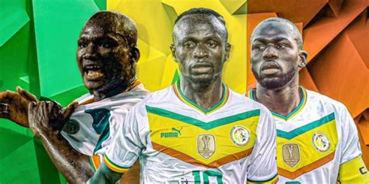 Papa Bouba Diop died at the age of 42 – death cause, wife, net worth, parents facts to know