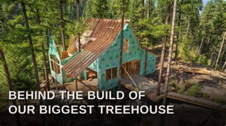 Pete Nelson (Treehouse builder)Bio, Wiki, Age, Family, Wife, Kids, House and Net Worth.