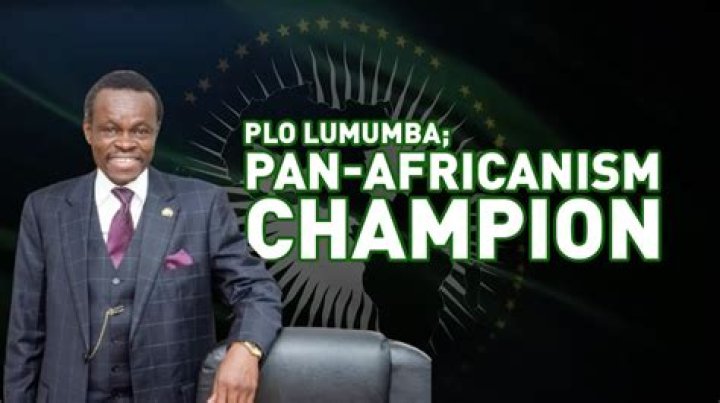 PLO Lumumba’s biography, net worth, fact, career, awards and life story