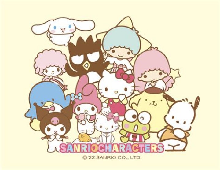 Sanrio Okada And Sario Okada Confusion Explained