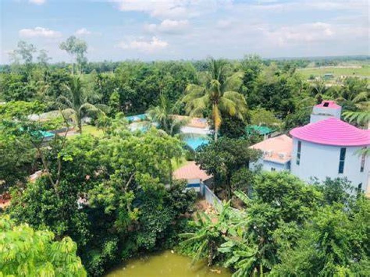 Tea Heaven Resort, Kamalpur, India
