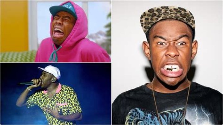 Tyler The Creator Bio, Wiki, Age, Girlfriend, Gay, Height, Net Worth, Mom, Religion, Twitter, Instagram and Songs