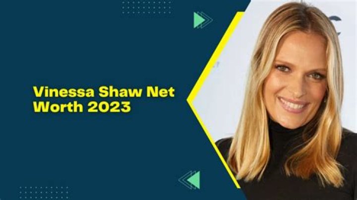 Vinessa Shaw Net Worth