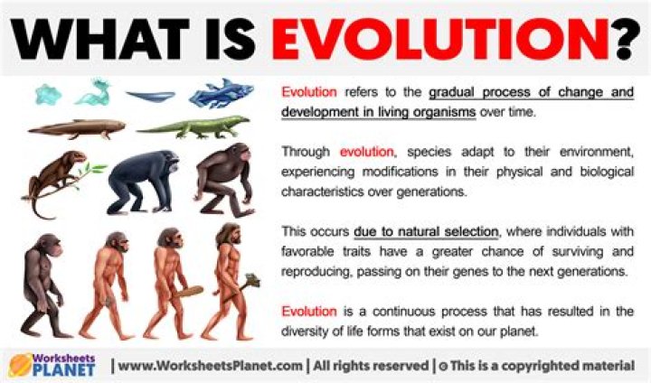 What is meant by evolutionary fitness