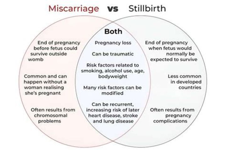 What is the Difference Between Stillbirths and Miscarriages