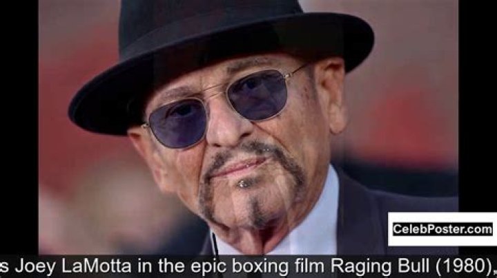 What movie did Joe Pesci make the most money?