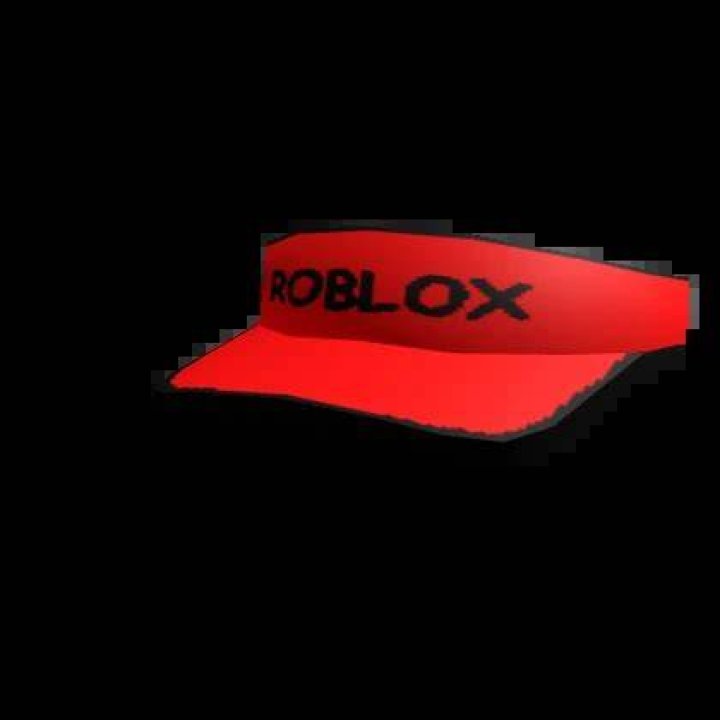 What word is featured on the roblox visor hat