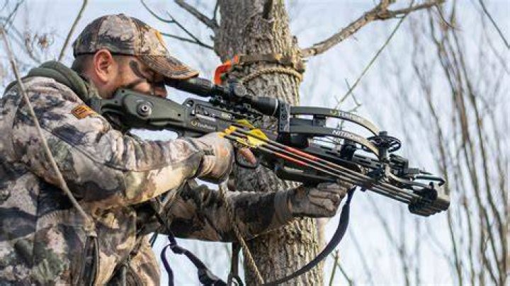 What yardage should i sight my crossbow in