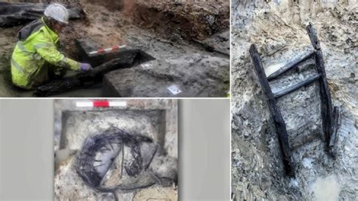 Where Is Katarzyna Zowada Skin Suit Now? Reddit Video Has New Clues On True Crime Case