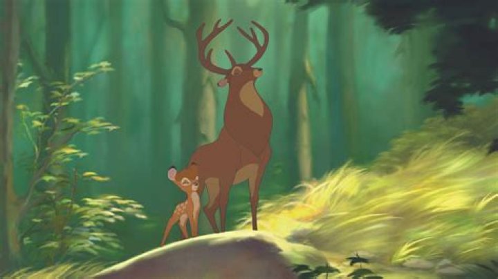 Who Are Bambi And Ronald Hawk? Ronni Hawk Parents Names
