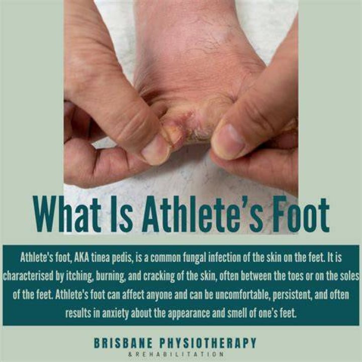 Who Are Jonathan India’s Parents? Details On The Family Of The Athlete