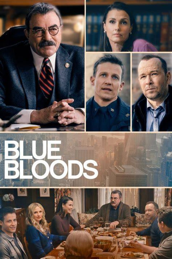 Who Is Adeola Role? Details To Know About The Blue Bloods Actress