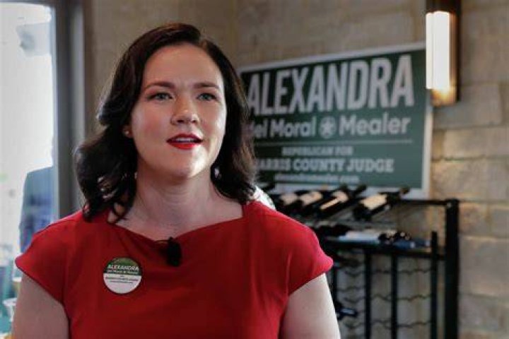 Who Is Alexandra Del Moral Mealer From The Harris County? Judge Nominee Wiki