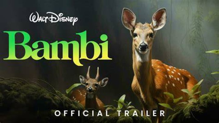Who Is Bambi Haggins? Everything To Know About The Professor